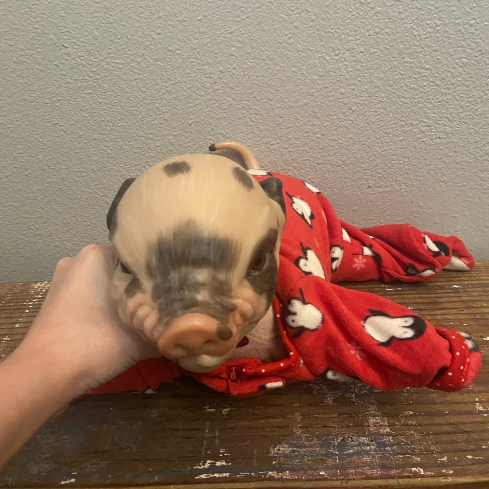 Bountiful baby Pig reborn doll